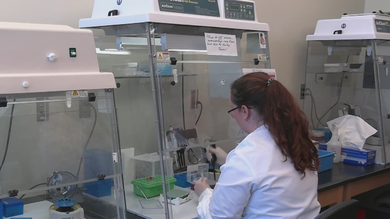 Cinco lugares de votación del condado Maricopa han sido trasladados por precaución ante la emergencia del coronavirus