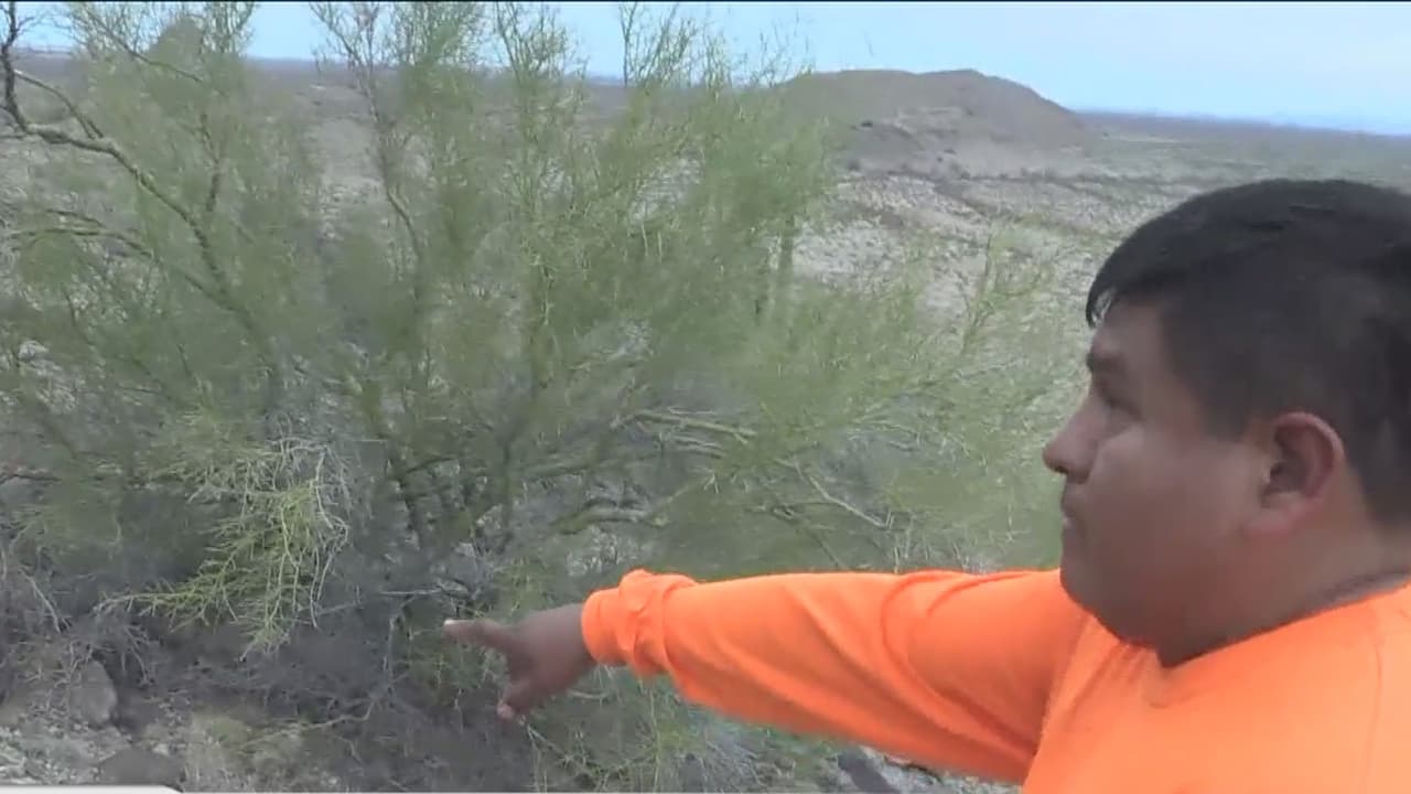 Rescatistas hallan los restos de un inmigrante en la frontera de Arizona