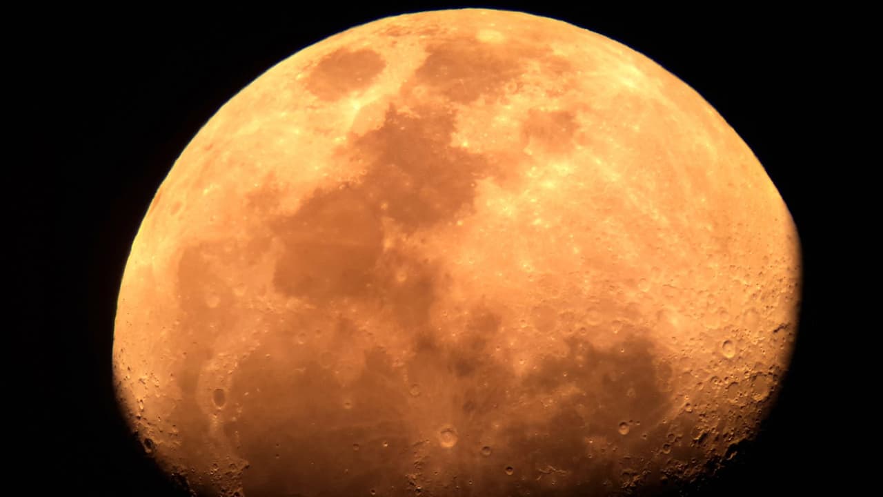 <h3 class="cms-H3-H3">Consejos para disfrutar del eclipse</h3>
<br>
<b>Consulta el estado del tiempo:</b> Asegúrate de que el cielo estará despejado en la noche del evento. Puedes revisar pronósticos locales unas horas antes.
<br>
<b>Busca un buen punto de observación:</b> Cuanto más lejos de las luces de la ciudad, mejor se verá el eclipse.
<br>
<b>Lleva abrigo y comodidad:</b> Aunque estemos en marzo, las temperaturas pueden bajar en la madrugada. Lleva ropa cómoda, una silla plegable y bebidas calientes.
<br>
<b>Usa binoculares o telescopio:</b> Aunque el eclipse es visible a simple vista, unos binoculares pueden mejorar la experiencia al revelar detalles de la superficie lunar.
<br>
<b>Fotografía el momento:</b> Usa una cámara con exposición prolongada y un trípode para capturar imágenes impresionantes de la "Luna de Sangre".