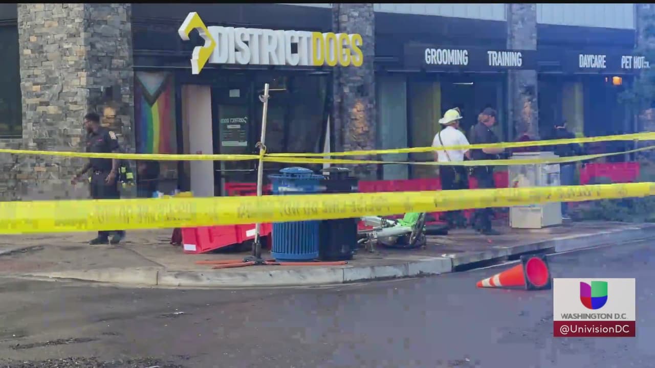 El clima severo del lunes dejó entre sus víctimas a algunos de los más vulnerables: varios 
<b><a href="https://www.univision.com/local/washington-dc-wfdc/perros-mueren-en-negocio-canino-afectado-por-tormenta-en-dc" target="_blank">perritos murieron ahogados</a></b> dentro de un negocio, que ha sufrido varias veces el embate de las tormentas: en pocos minutos el agua alcanzó los seis pies.