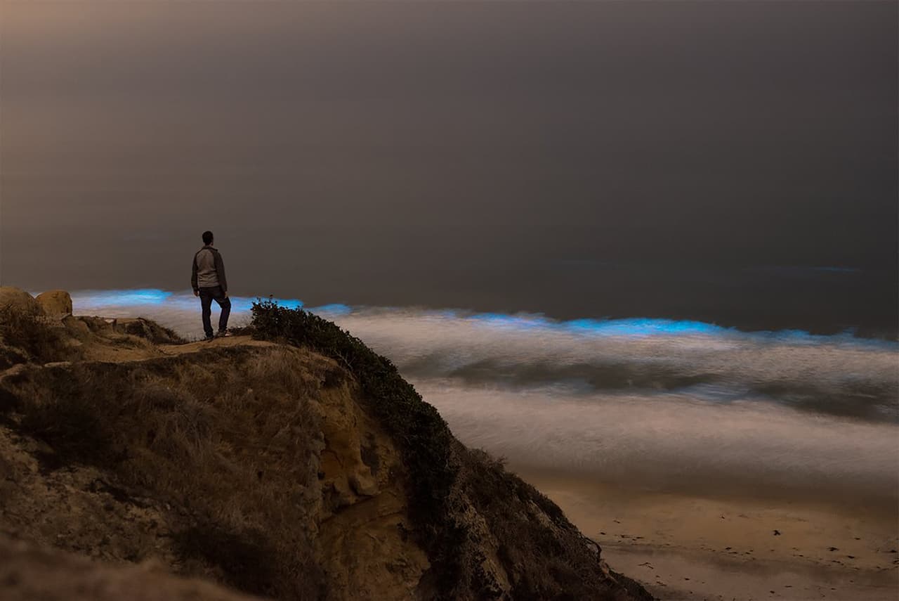 Otros científicos aseguran que el fenómeno se repite en la zona alrededor de cada cinco años, ocasionalmente con más frecuencia.