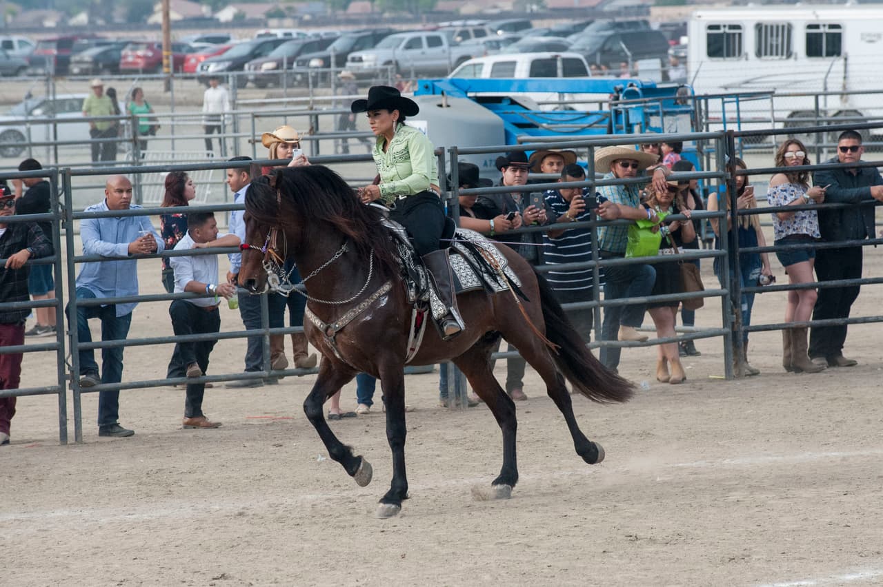 7 escenarios y mas de 50 artistas en 3 dias fueron los ingredientes para PuebloFest el 17 al 19 de marzo donde llegaron personas para disfrutar de todo el estado de California.