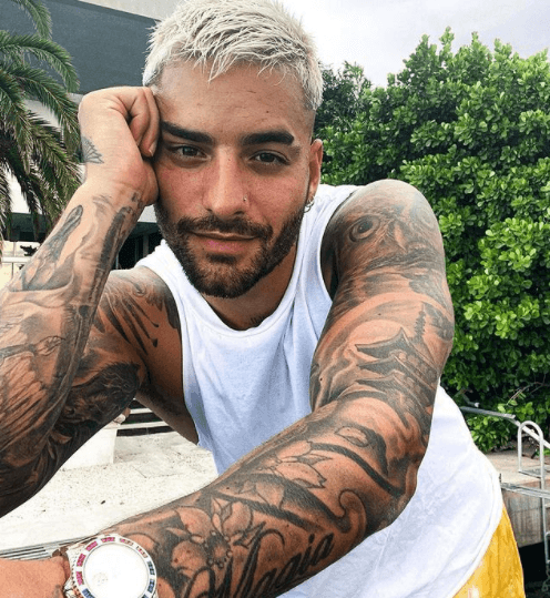 Otro de sus tatuajes es una lechuza que tiene en el hombro izquierdo: "tengo la lechuza, que para mí significa la sabiduría. Es uno de los tatuajes más importantes que me he hecho porque es muy espiritual, es una especie de protección. Todas esas malas vibras y energías que hay alrededor, siento que este tatuaje me ayuda mucho a controlarlas", expresó en entrevista.