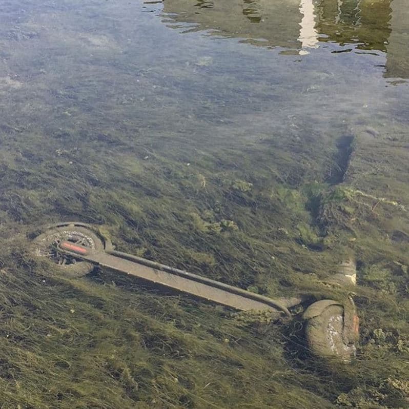 Las empresas no han dado a conocer el número de los vehículos saboteados, pero ruegan a la población dejar de destruirlos.