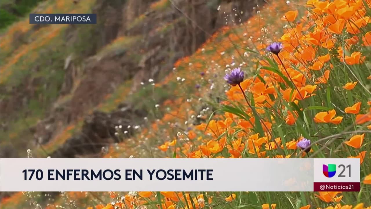 Al menos 170 personas reportan haber sufrido problemas gastrointestinales tras visitar Parque Yosemite