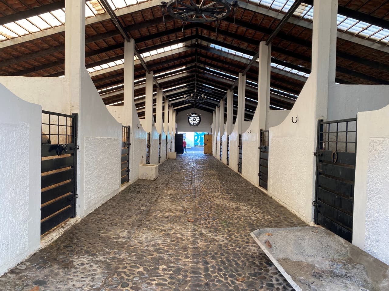 Imagen de las caballerizas que se encuentran en el rancho.