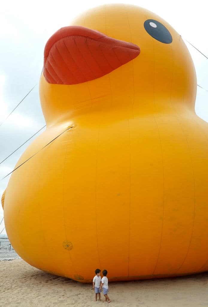 Patos de hule hay muchísimos, pero este no es uno más. Los niños posan frente a "Mama Duck", la más grande del mundo, en su estilo, y que este fin de semana estuvo de visita en Rye Playland Beach, en Rye, Nueva York.