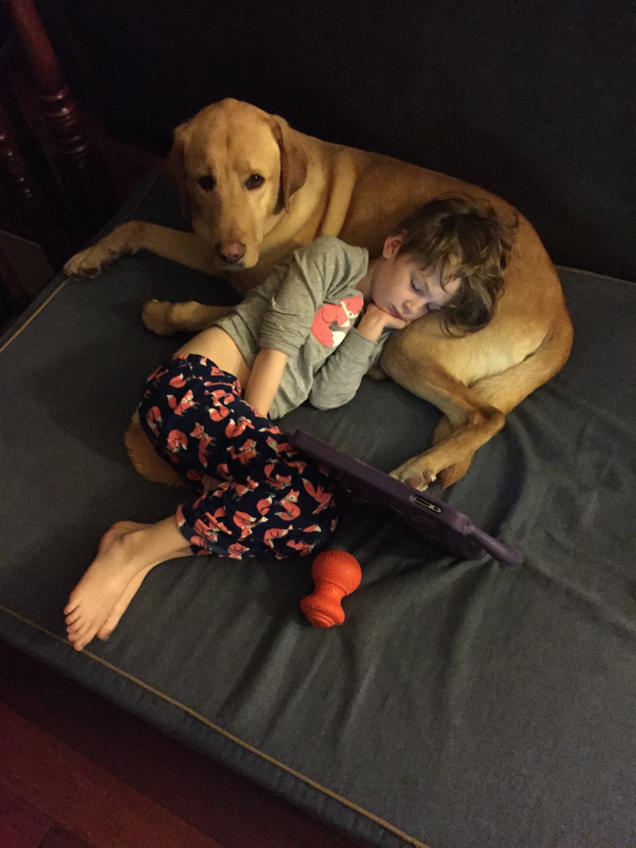 Kate's Autism Service Dog, Oakley, is her anchor and her best friend.