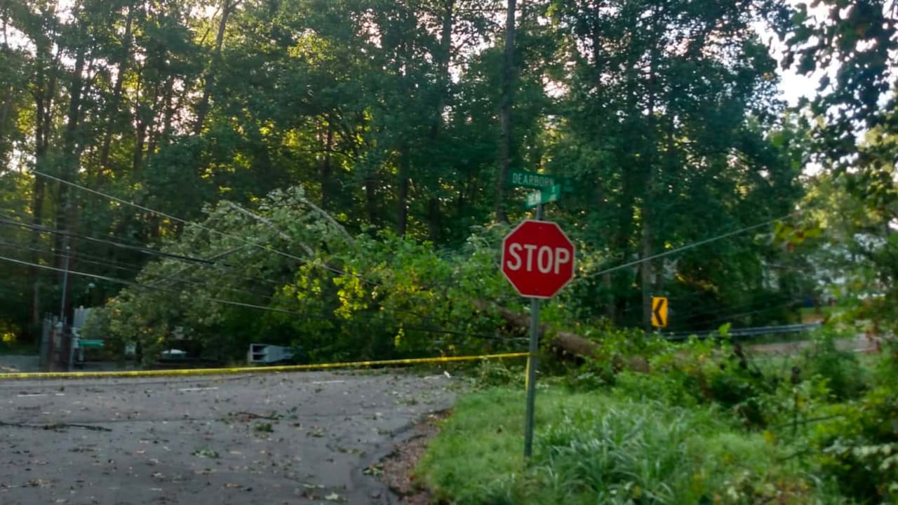 Tormentas severas en Carolina del Norte: una persona muerta tras la caída de un árbol y más de 10,000 personas sin electricidad