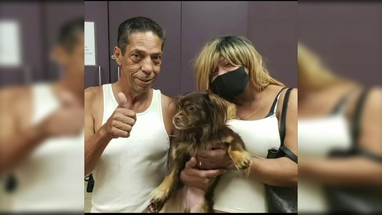 Perdieron a su perro hace dos años y lo recuperan tras verlo en un reportaje de televisión sobre adopciones