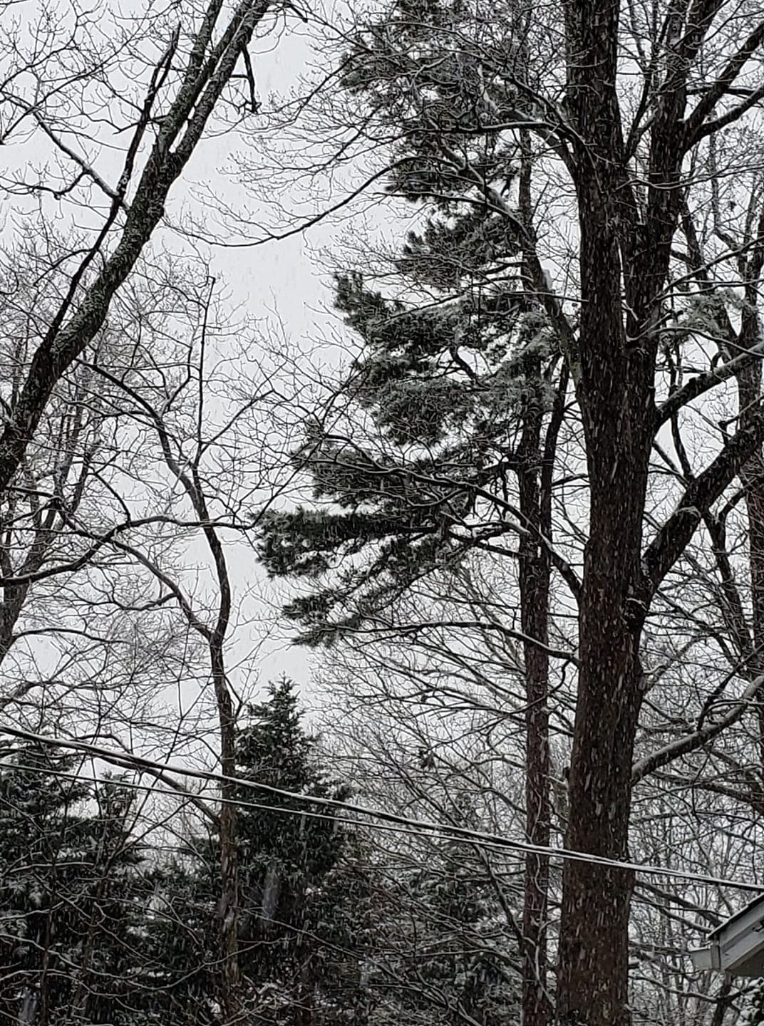 Belhaven, New Bern y Snow Hill fueron algunas de las ciudades con mayor riesgo por el clima invernal.