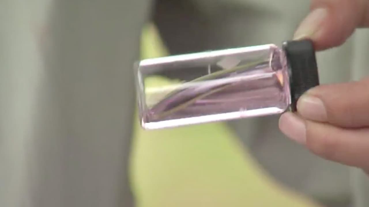 En caso de no obtener respuesta dejarán en la puerta el anuncio de que realizaron la visita.