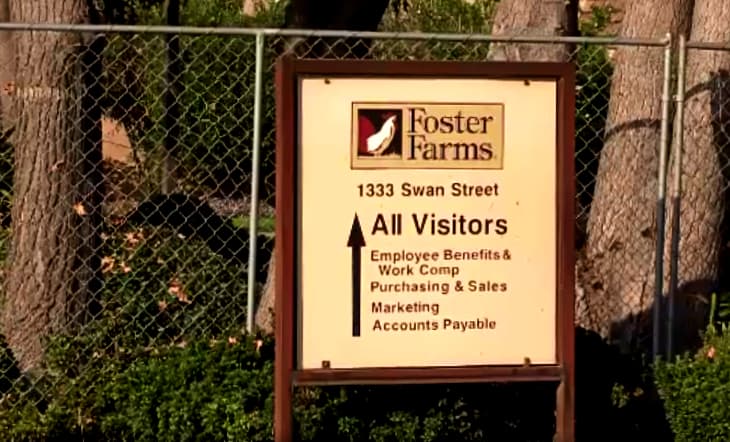 Anuncian 'boycot' a la planta Foster Farms de Livingston si no cumplen con las medidas de salud y seguridad