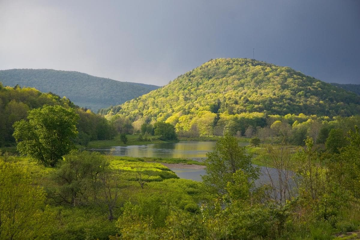 <b>Pocono Mountains</b>. Las montañas Pocono de Pensilvania son un destino de vacaciones ideal durante cualquier temporada. Cuentan con un parque acuático que tiene toboganes de agua en el interior, así que las temperaturas más frías del exterior no te impedirán darte un chapuzón. Podrás salir y hacer algunas caminatas en Bushkill Falls y lleva tu cámara para que puedas tomar buenas fotos de las cascadas que encuentres. Con casi 16,000 acres, el Parque Estatal Hickory Run ofrece también un amplio espacio para salir y explorar sus senderos.
<br>
<br>
<b><a href="https://goo.gl/maps/mnuvr7XJQzzvFfjm9">Cómo llegar</a></b>
