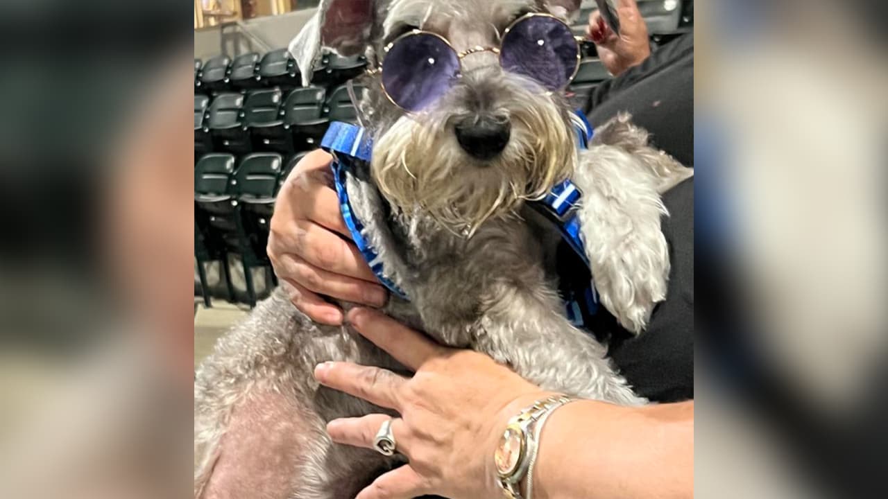 Nikko Ambriz: Nikko viendo a sus hermanos jugar softball. Siempre apoyándolos.
