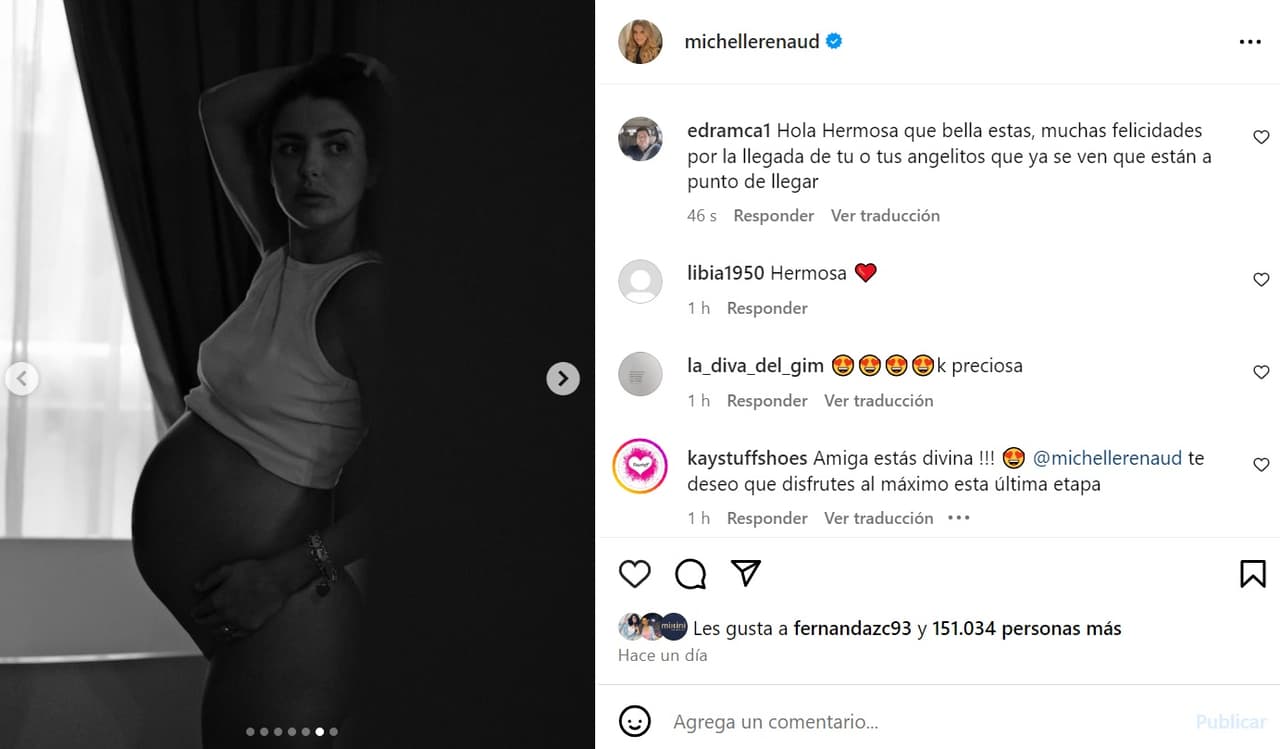 Michelle Renaud deja ver su embarazo con tiernas fotos