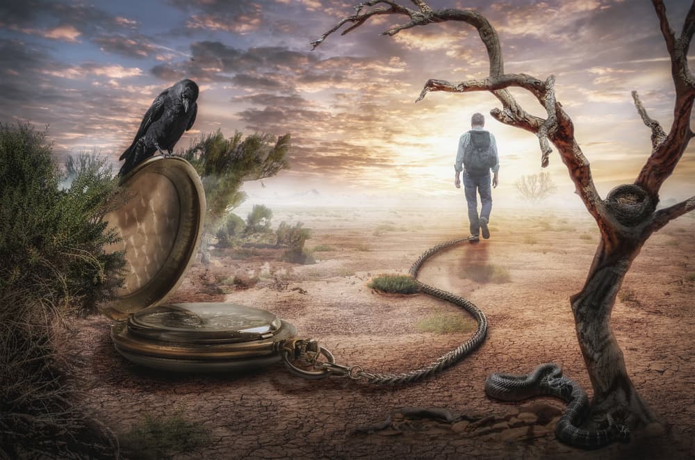 <h3 class="cms-H3-H3"><b>Soñar con víboras negras</b></h3> 
<br>quiere decir que nos estamos nublando la mente ante algo, que no estamos usando la lógica y la razón. Puede hablar de que nos resistimos al cambio, de que estamos en un entorno o relación que no es buena o adecuada para nosotros.