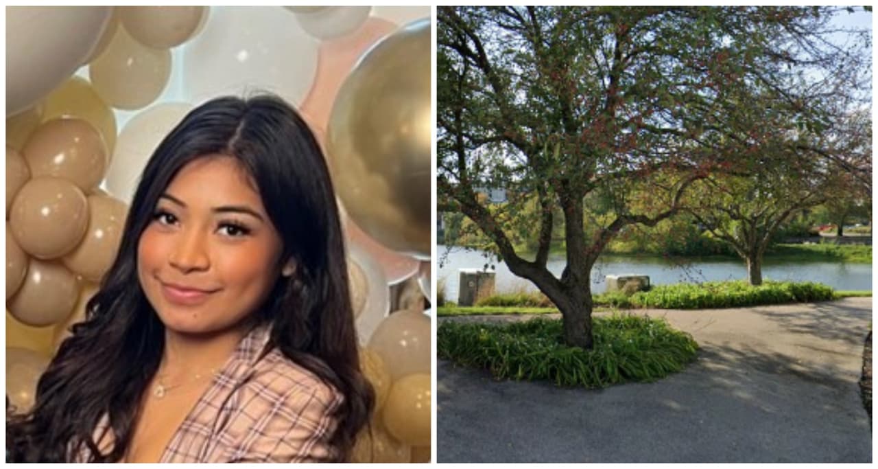 <b>Miércoles 13 de diciembre de 2023: </b>El Médico Forense del condado de Lake 
<b>confirma que el cuerpo recuperado del estanque pertenece a Brissa Romero</b>, luego de ser identificado por sus familiares. La causa de la muerte fue por ahogamiento, especificó el forense.