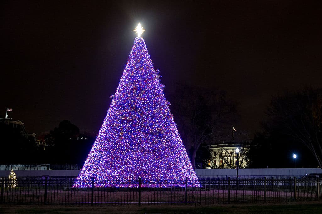 Así luce el Arbol Nacional de Navidad fuera del Ellipse park.