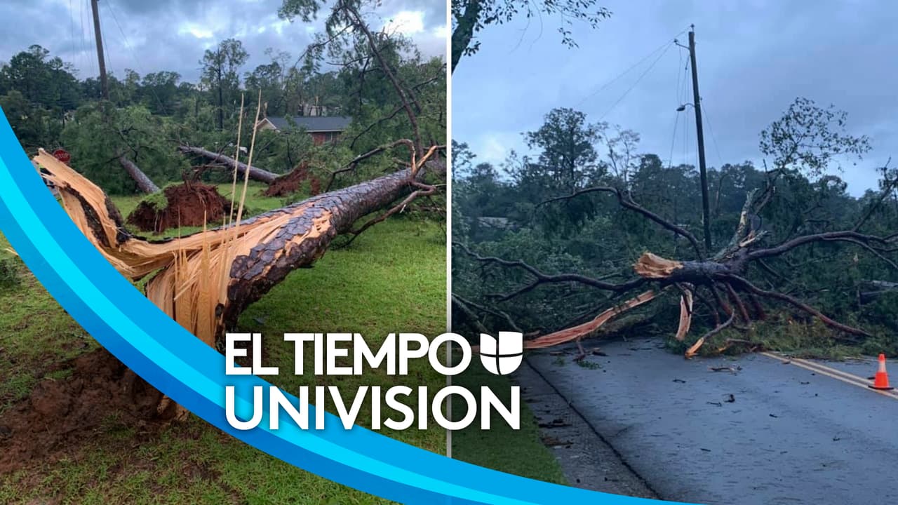 Tornados azotan varios condados de Georgia: La tormenta Fred causa inundaciones y destrozos