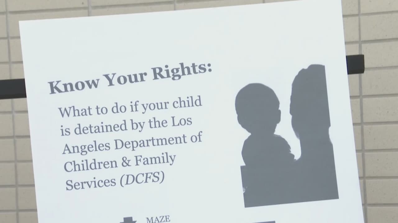 ¿Cómo recuperar la custodia de tus hijos? Este manual te ayudará a entender los pasos que debes seguir