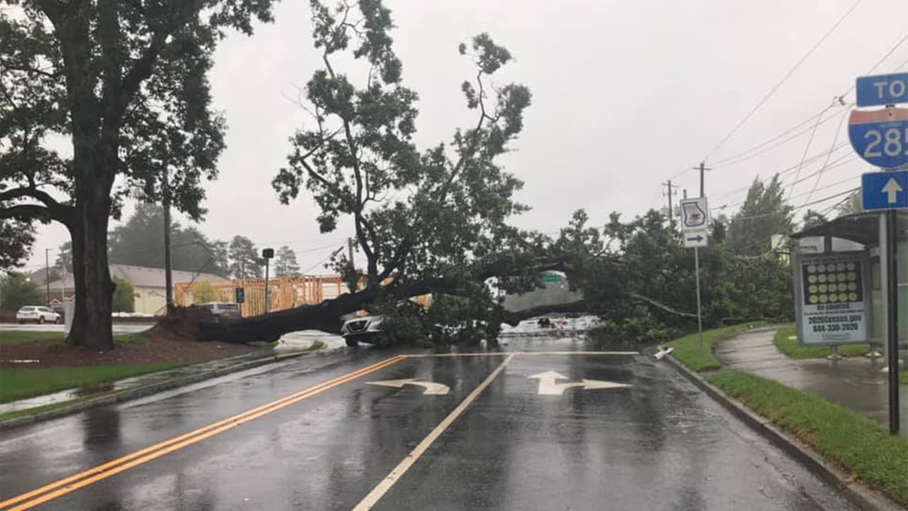 Un enorme árbol cayó sobre dos vehículos en la intersección de Mt Vernon Rd y Chamblee Dunwoody Rd. Hay cables caídos, no hubo heridos.
