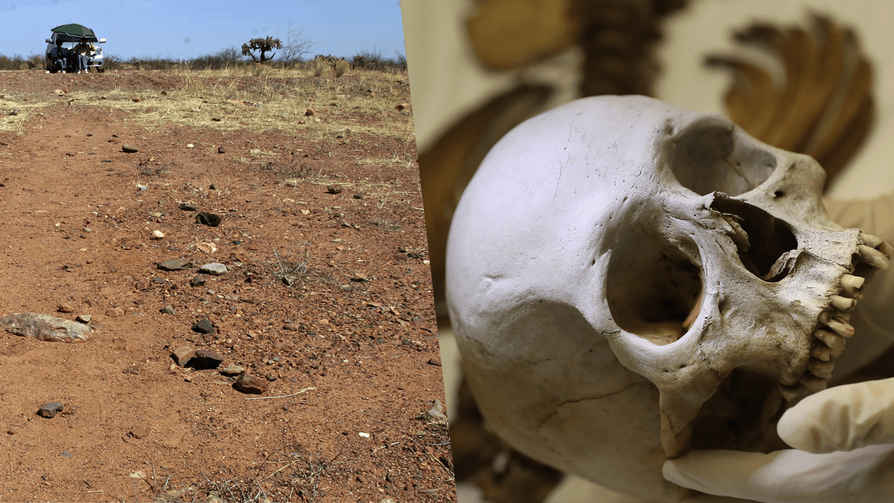 Camino sin regreso: quiénes buscan a las miles de mujeres migrantes desaparecidas en la frontera con México