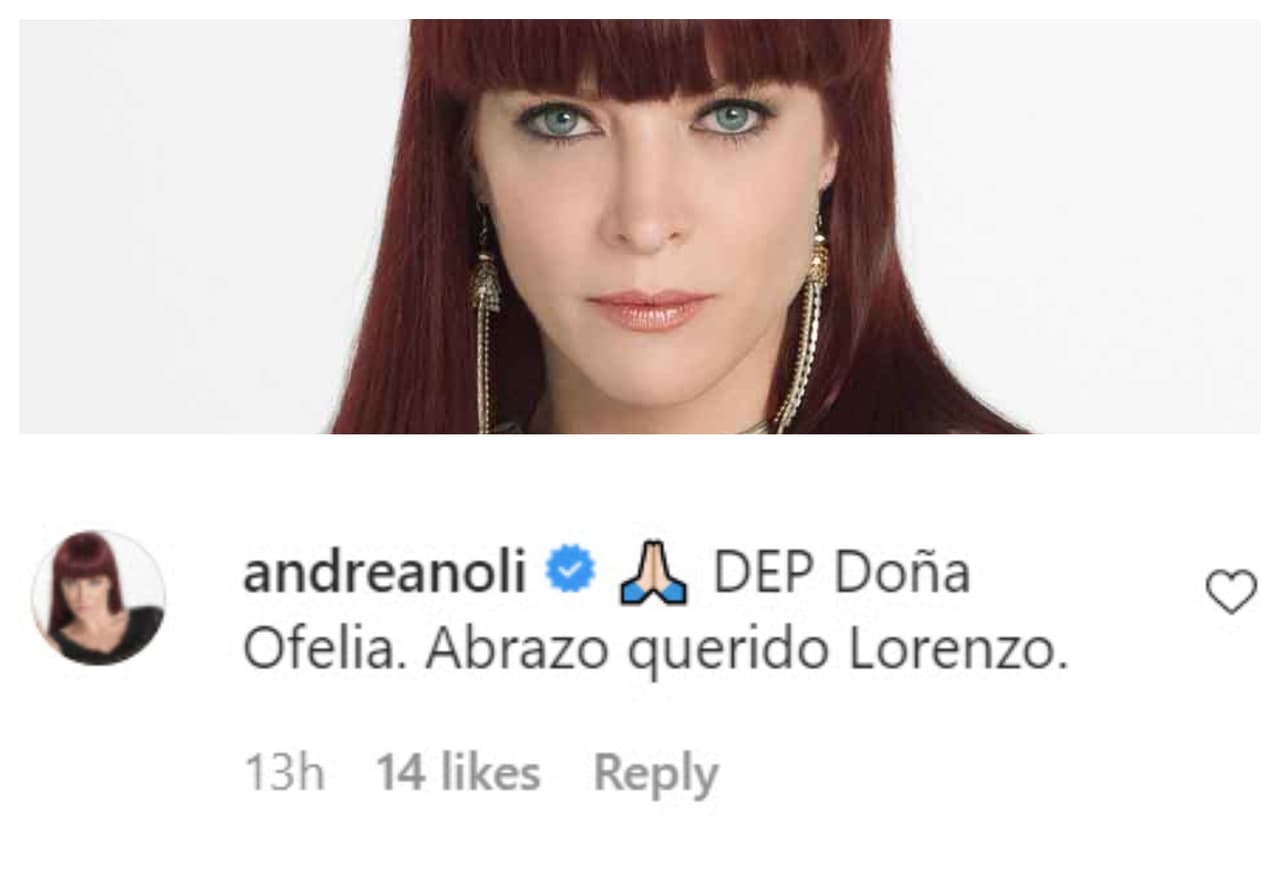 Mientras tanto, 
<b><a href="https://www.univision.com/famosos/la-hija-de-andrea-noli-se-parece-aun-mas-a-su-papa-jorge-salinas-que-todavia-no-la-reconoce-fotos" target="_blank">Andrea Noli</a> </b>escribió: "Descanse en paz, doña Ofelia. Abrazo, querido Lorenzo". 
<br>
