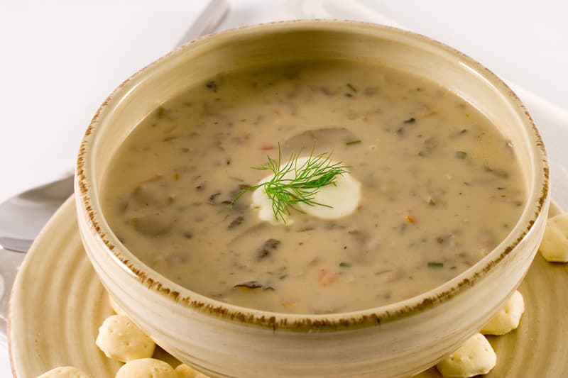 creamy mushroom soup