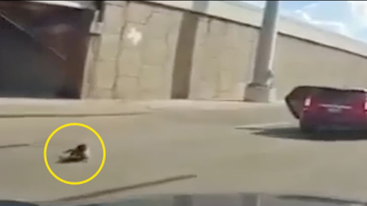 Nichole Nelson es acusada de poner en peligro la vida de un menor y se le fijó una fianza de $40,000.