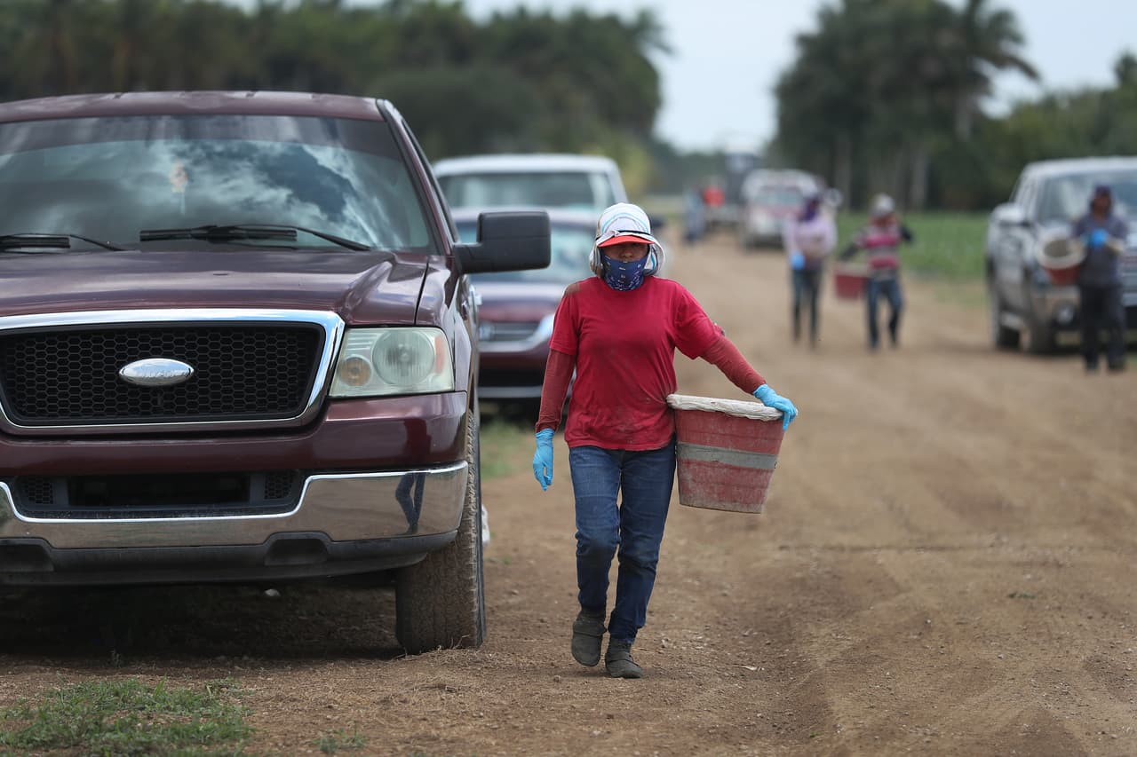 Además, agregan que las pérdidas son enormes y que en un momento dado tendrán que parar la producción, lo que dejará a una gran cantidad de trabajadores del campo sin empleo. 
<br>