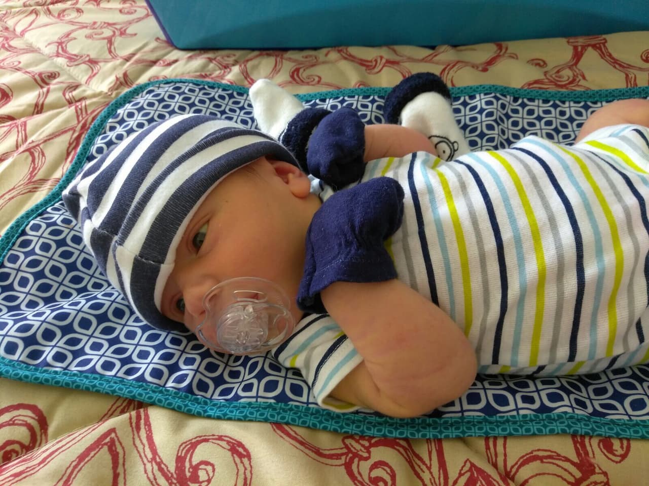 ¿Qué estará viendo Sebastián en esta foto?
<br>