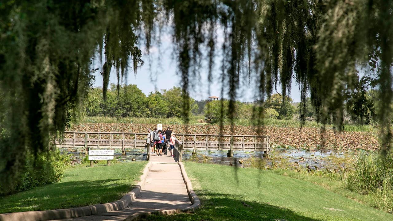 Todos los senderos se conectan entre sí y usted puede llevar su caballo para recorrer el parque.