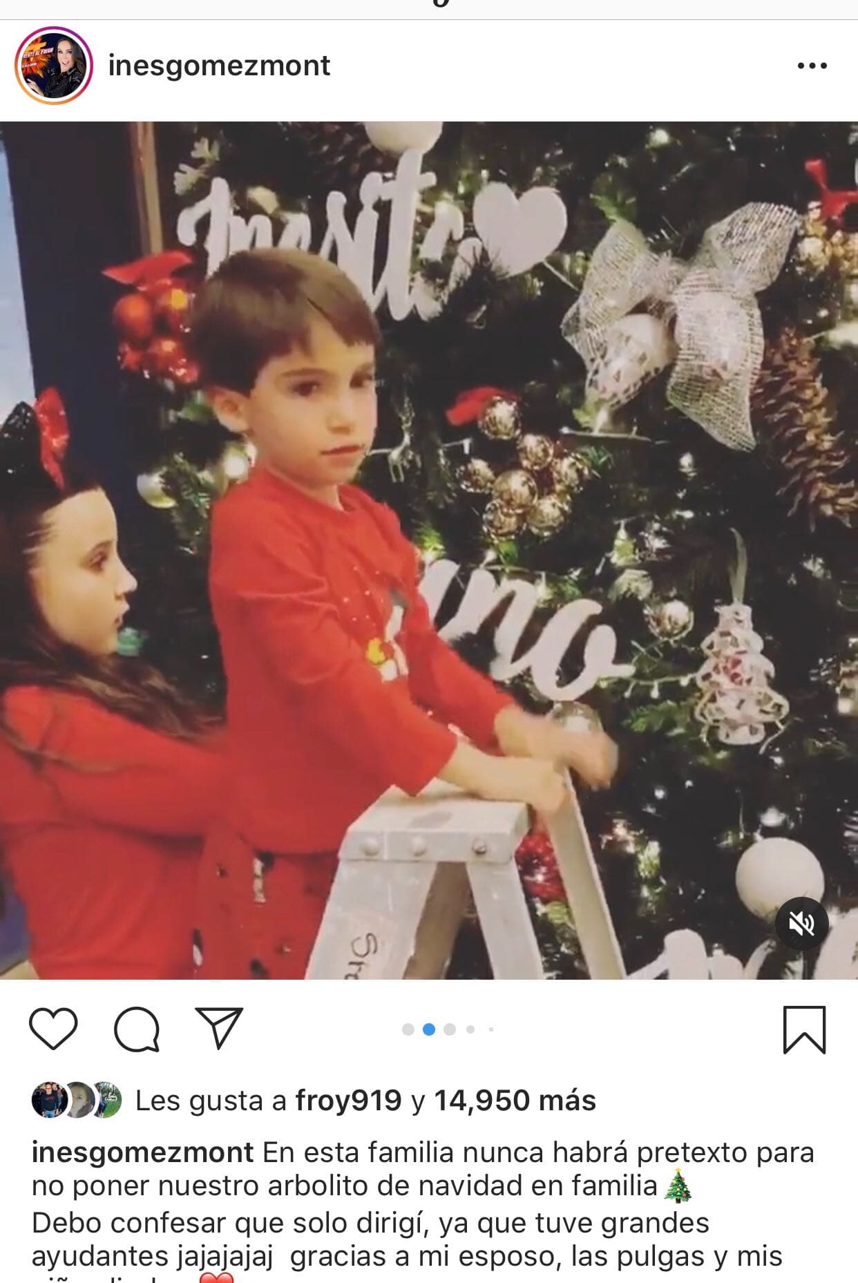Inés Gómez Mont, quien es
<a href="https://www.univision.com/entretenimiento/7-hijos-no-son-suficientes-ines-gomez-mont-desea-el-octavo"> <b>madre de siete pequeños</b></a>, explicó que sus hijos continuamente la cuestionaban sobre cuándo iban a poner el árbol.
<br>