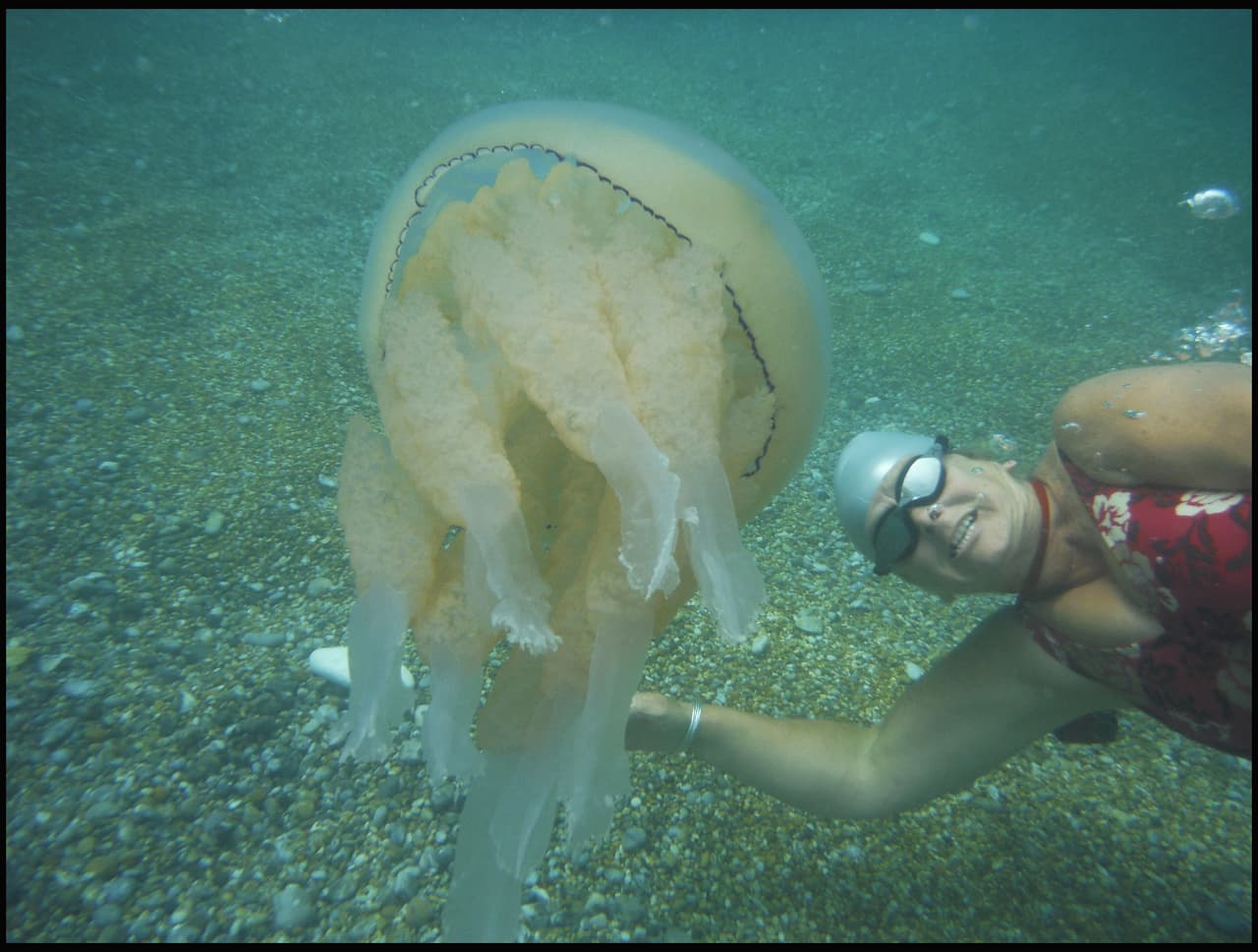 ¡Por eso es una suerte que Jane Floyd pudiera hacerse una selfie y saliera ilesa!