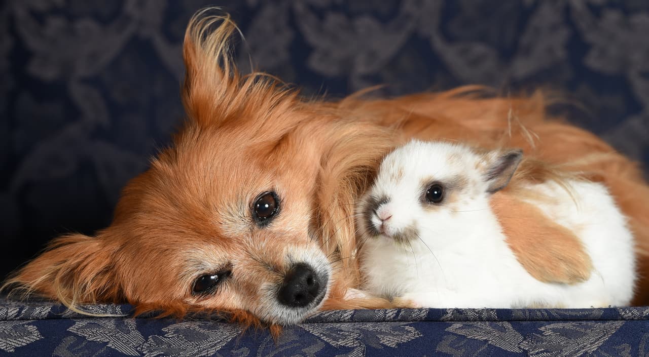 De acuerdo con Cheryl, Maggie es extremadamente sobreprotectora con Penny.