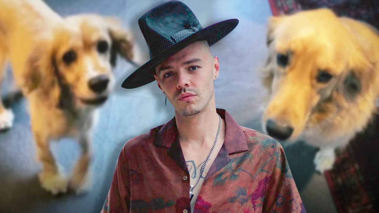Con un apretón de pata los perros de Jesse Huerta le hicieron creer que obedecerían