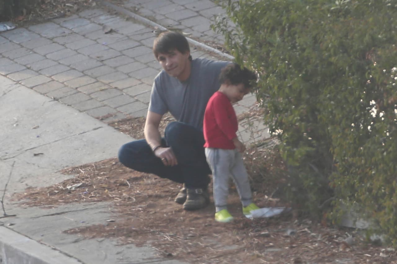 Tal parece que había algo en los arbustos que le llamó la atención...