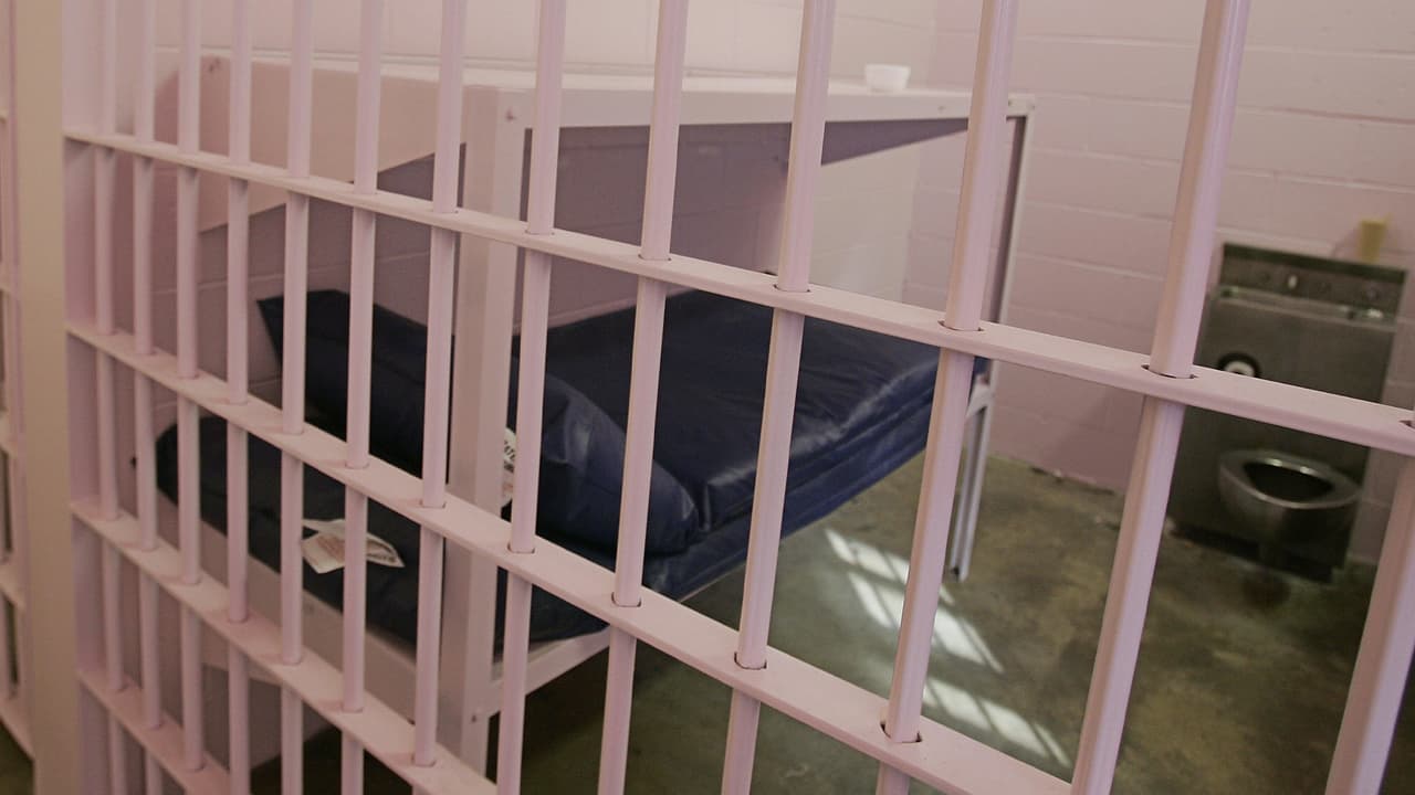 Ocho arrestados y sentenciados por presunto tráfico de cocaína en Tampa Bay