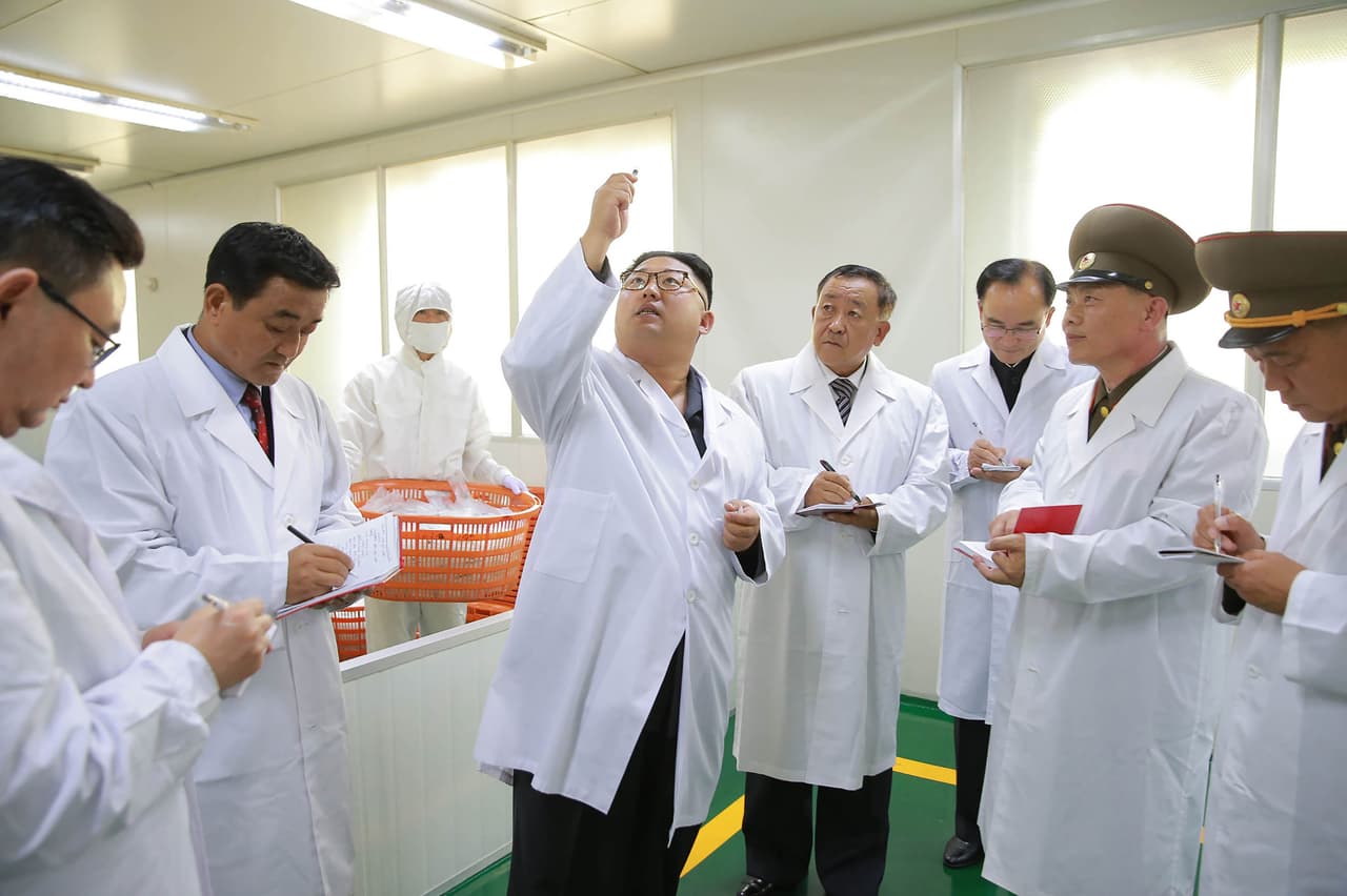 <b>Ojos en la ciencia. </b>El líder norcoreano examina una jeringa fabricada en Pyongyang el 24 de septiembre de 2016.