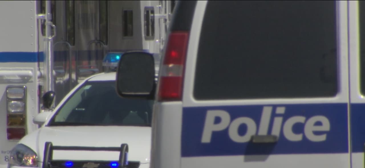 Muere una mujer atacada por un perro en una guardería de animales en Arizona