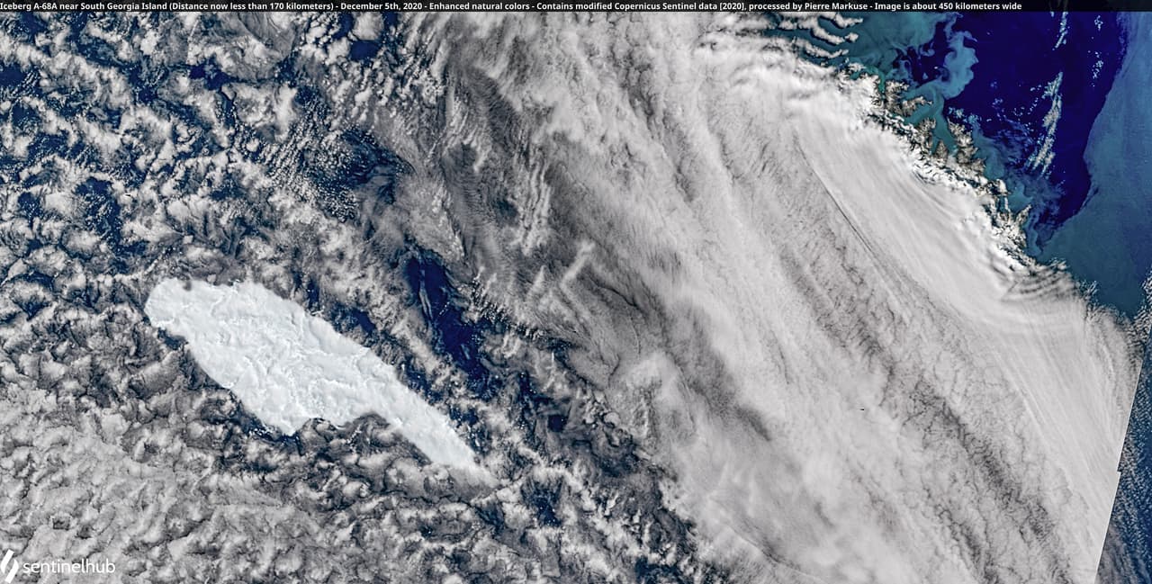 Si estas especies se ven obligadas a realizar rutas más largas para conseguir su comida,
<b>“es probable que no puedan volver a tiempo para alimentar a sus crías”</b>, precisó el profesor Geraint Tarling, el oceanógrafo del BAS.