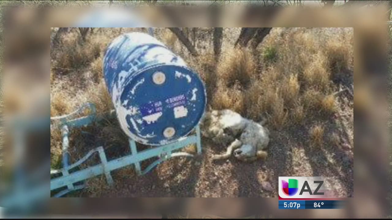 Reportan vandalismo en estaciones de agua para inmigrantes en la frontera