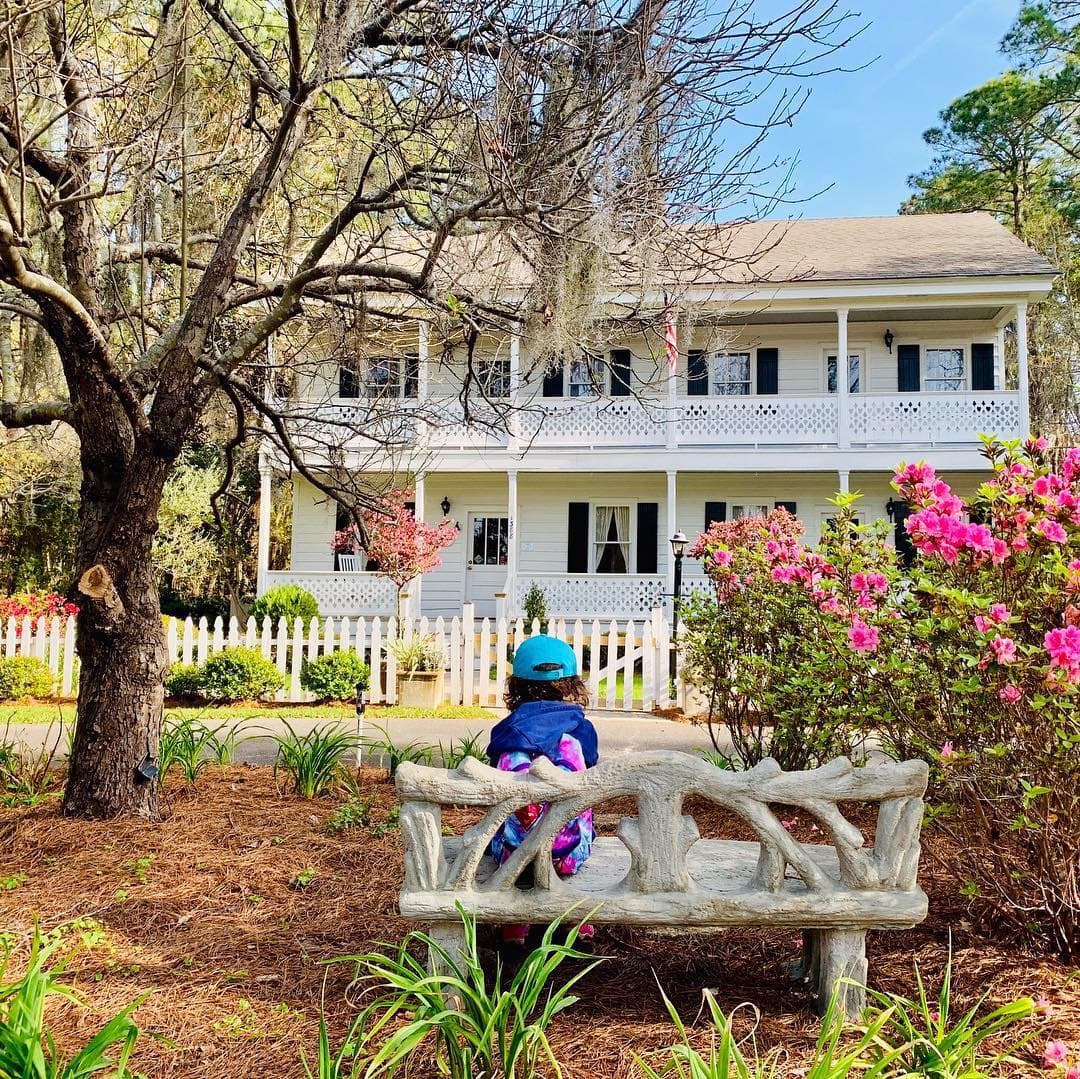 <b>Savannah Botanical Garden </b>
<br>
<b>Sitio web</b>: 
<a href="https://www.savannahbotanical.org/">https://www.savannahbotanical.org/</a> 
<br>
<b><a href="https://maps.app.goo.gl/woEo1baHErFY7ecr9">Cómo llegar</a> </b>
<br>
<br>El Jardín Botánico de Savannah incluye senderos naturales, un estanque pintoresco y una exhibición arqueológica entre las exhibiciones formales y naturales. Disfruta del encanto sureño de la histórica Casa Reinhard, los dulces sonidos de los pájaros cantores y pasea por un sendero que explora camelias, helechos y un jardín infantil. La entrada es gratuita.