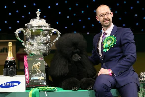 Él es 'Ricky' y su dueño Jason Lynn, posando para la prensa luego de que el Poodle gigante ganara el primer lugar en la prueba de habilidad.