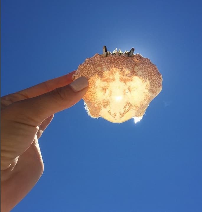 La cantante dijo que siempre es momento para regresar a la infancia y divertirse.
