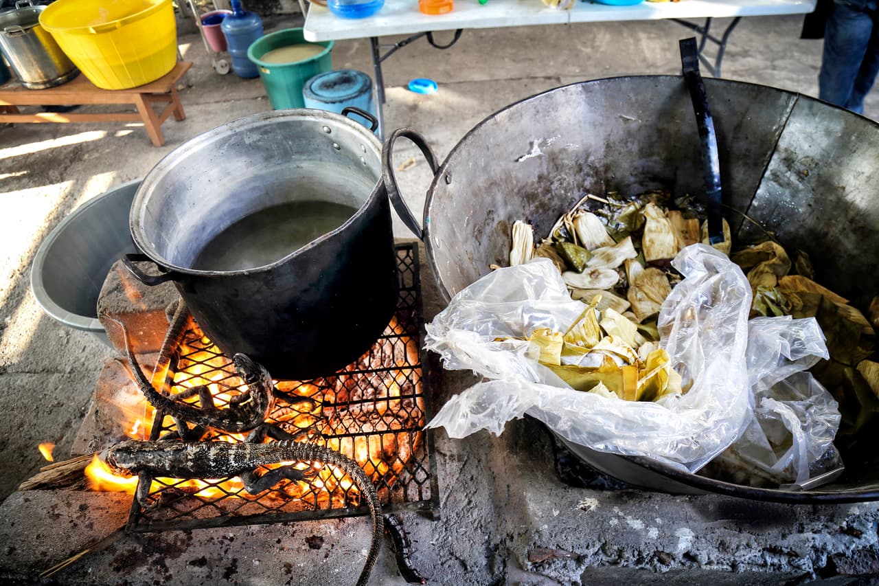 Los tamales son elaborados con masa de maíz y llevan una salsa o mole elaborado con semilla de calabaza, carne y huevos de iguana.