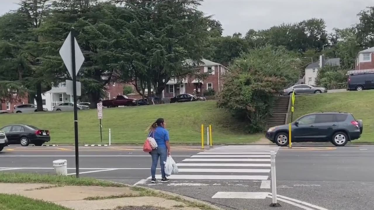 Multas por infracción en los cruces peatonales de Arlington: debes detenerte completamente