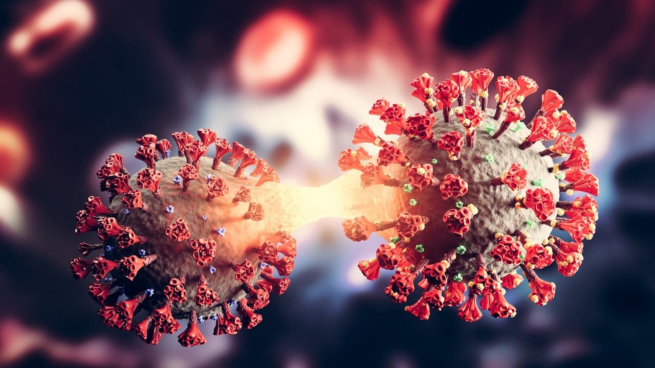 Aumentaron los casos de covid-19 en el DMV durante el mes de julio