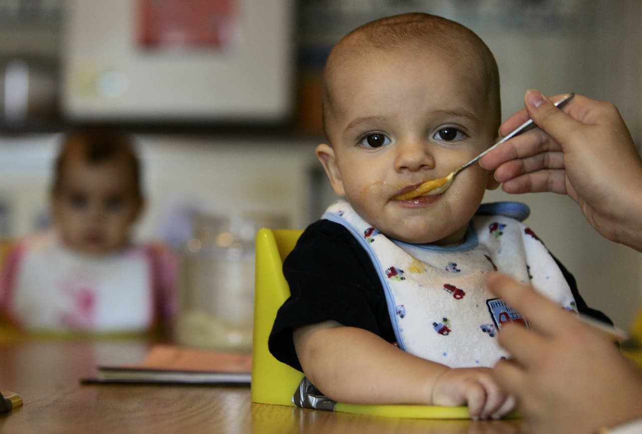 Investigadores se llevan sorpresa al detectar plomo en 20% de las muestras de comidas para bebés
